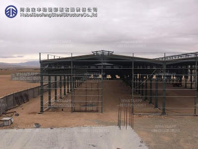 Custom Steel Structure