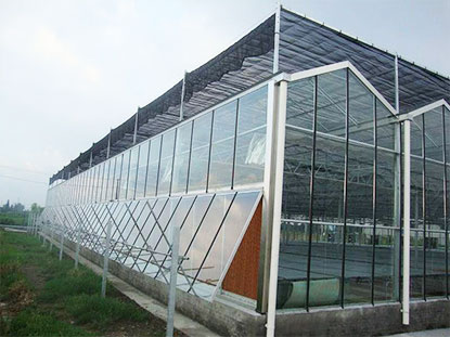 Mga tagubilin sa greenhouse