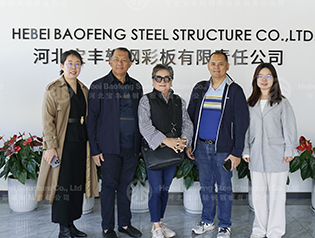 Inspeksyon ng Customer